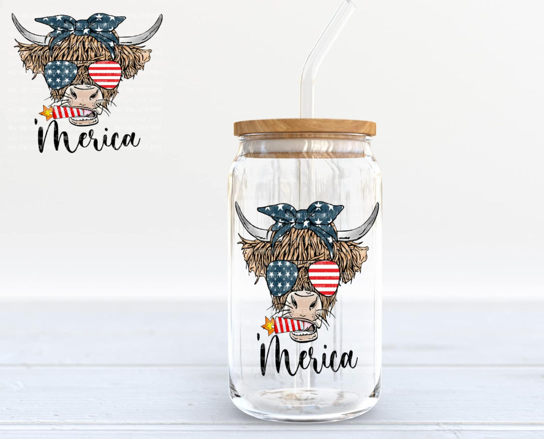 Merica 16 oz. Glass Can